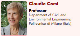Claudia Comi. Professor. Department of Civil and Environmental Engineering Politecnico di Milano (Italy)